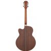 Dowina JCE 999S LE electric/acoustic guitar