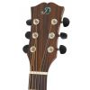 Dowina JCE 999S LE electric/acoustic guitar
