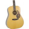 Furch D34 SR acoustic guitar