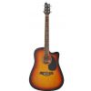 T.Burton Maiden HG W CE BS electric/acoustic guitar