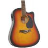 T.Burton Maiden HG W CE BS electric/acoustic guitar