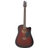 T.Burton Maiden HG WCWRS acoustic guitar