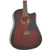 T.Burton Maiden HG WCWRS acoustic guitar