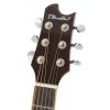 T.Burton Maiden HG WCWRS acoustic guitar