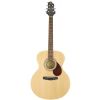 Samick J2N acoustic guitar