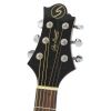 Samick J2N acoustic guitar