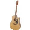 Takamine Series P 1DC DRD electric/acoustic guitar