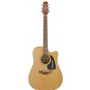 Takamine Series P 1DC DRD electric/acoustic guitar