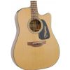 Takamine Series P 1DC DRD electric/acoustic guitar