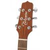 Takamine Series P 1DC DRD electric/acoustic guitar