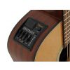 Takamine Series P 1DC DRD electric/acoustic guitar