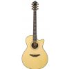 Furch G32SR electric/acoustic guitar