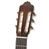 Esteve 3Z Ziricote Exotic clasical guitar