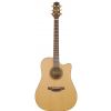 Takamine Series P3DC DRD