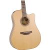 Takamine Series P3DC DRD