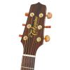 Takamine Series P3DC DRD