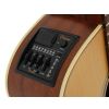 Takamine Series P3DC DRD