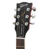 Gibson Les Paul Standard 2013 Premium Birdseye TS Electric Guitar