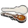 Gibson Les Paul Standard 2013 Premium Birdseye TS Electric Guitar
