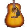 Yamaha F 310 Plus 2 WS Natural acoustic guitar