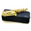 Arnolds & Sons ASA100 Alto Saxophone