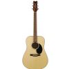 Jasmine JD 36  acoustic guitar