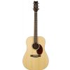 Jasmine JD37 DRD acoustic guitar