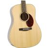 Jasmine JD37 DRD acoustic guitar