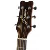 Jasmine JD37 DRD acoustic guitar