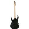 Ibanez RGA42 BK electric guitar