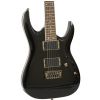 Ibanez RGA42 BK electric guitar