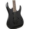 Ibanez RGD320Z BK electric guitar