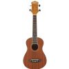 Washburn U-20 ukulele