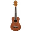 Washburn U20E N ukulele