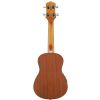 Washburn U20E N ukulele