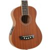Washburn U20E N ukulele