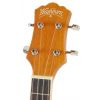 Washburn U50 LCE N ukulele
