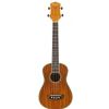 Washburn U50 N ukulele