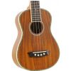 Washburn U50 N ukulele