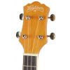 Washburn U50 N ukulele