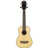 Washburn U30 N ukulele