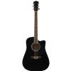 T.Burton Ragent W C BK acoustic guitar