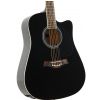 T.Burton Ragent W C BK acoustic guitar