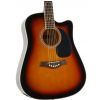 T.Burton Ragent W C BS acoustic guitar