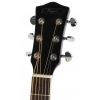 T.Burton Ragent W C BS acoustic guitar