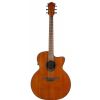 Lag GLA-T77JCE acoustic guitar