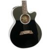 Takamine EF-261 SBL electro-acoustic guitar