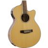Epiphone PR-4E NA Acoustic-Electric Pack