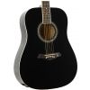 Morrison MGW305 BK acoustic guitar