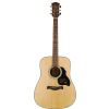 Richwood D40 acoustic guitar